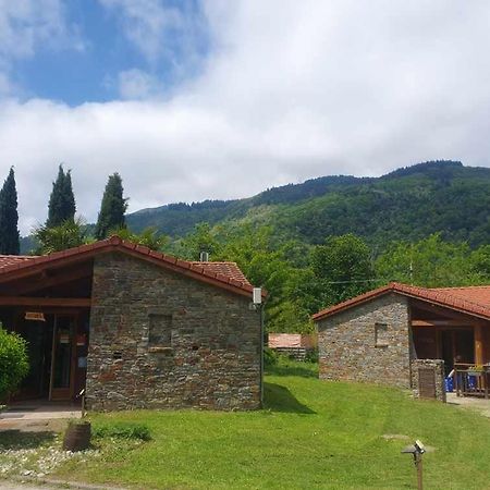 Chalets A 10 Minutes De Foix Mercus-Garrabet Buitenkant foto
